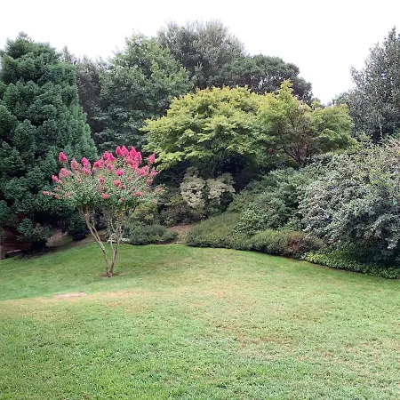 Modern Hossegor Oasis * Soorts-Hossegor