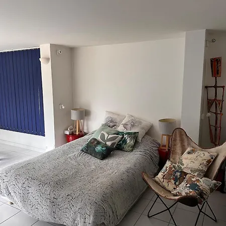 Villa Modern Hossegor Oasis *